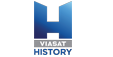 viasat-history